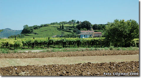 strada del vino soave