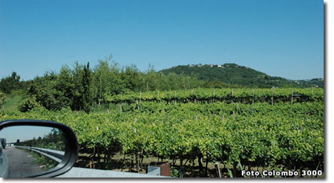 strada del vino soave