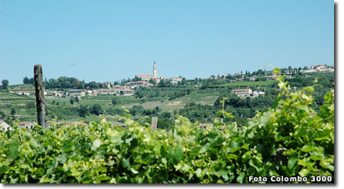 strada del vino soave