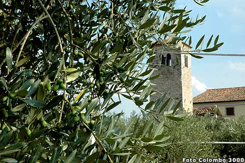 chiesa di Illasi - strada del soave