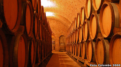 strada del vino soave