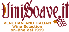 logo vini soave